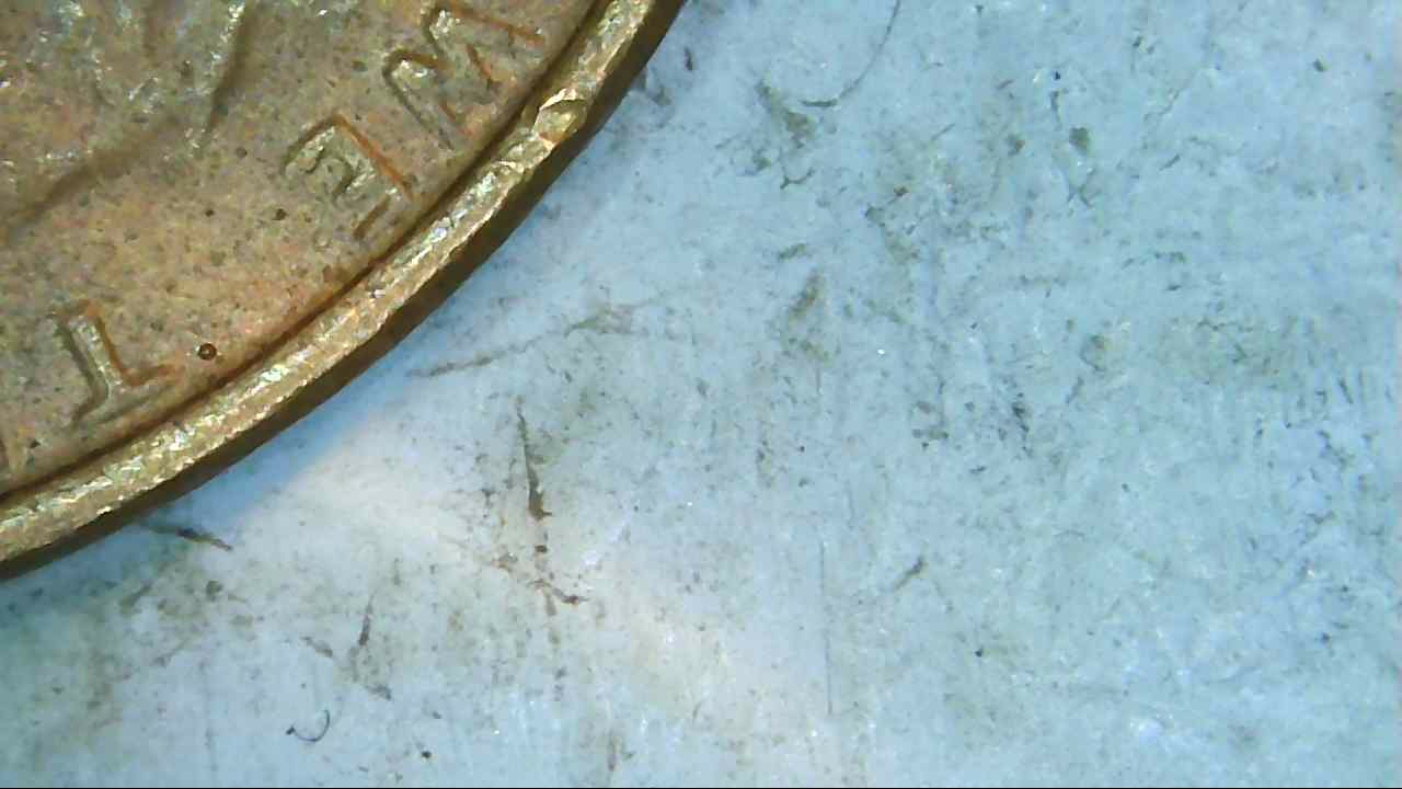 Help...need-A-Few-Opinions-On-Coin-Found-During-Coin-Roll-Searching